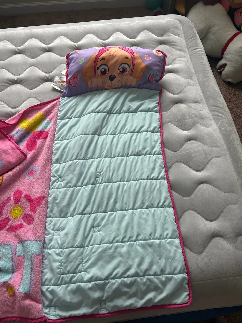 Paw Patrol Skye Pink Kids Nap Set - Pink, Purple, Turquoise Accents
